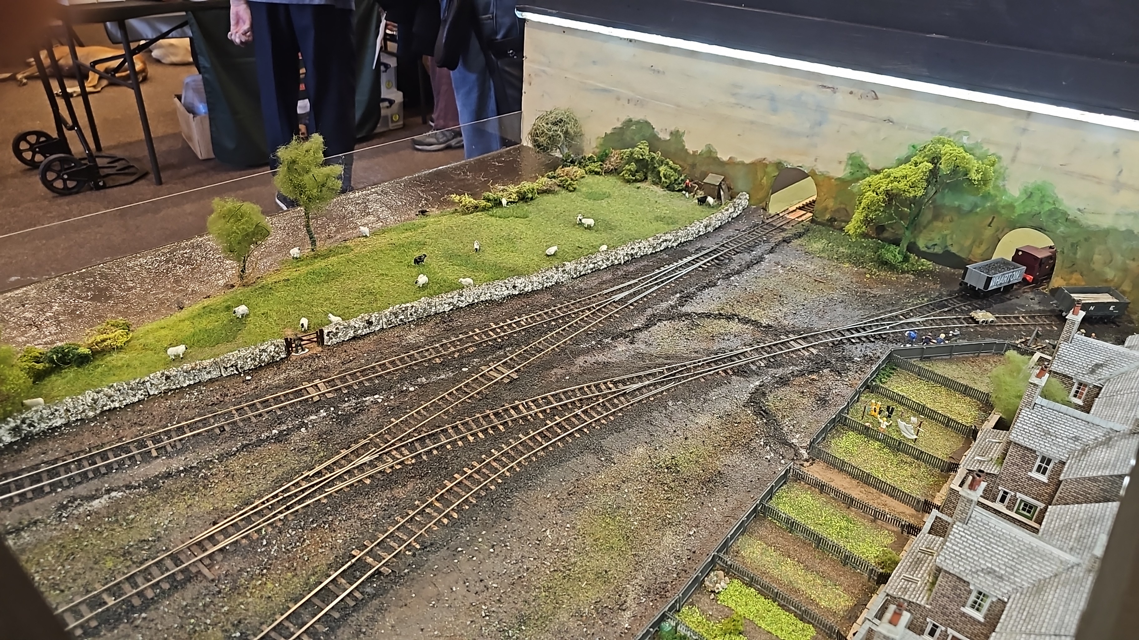 HMRG-exhibition-08-2026-49